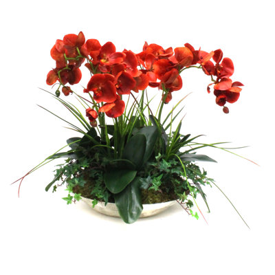 Orchidées dans un bol décoratif