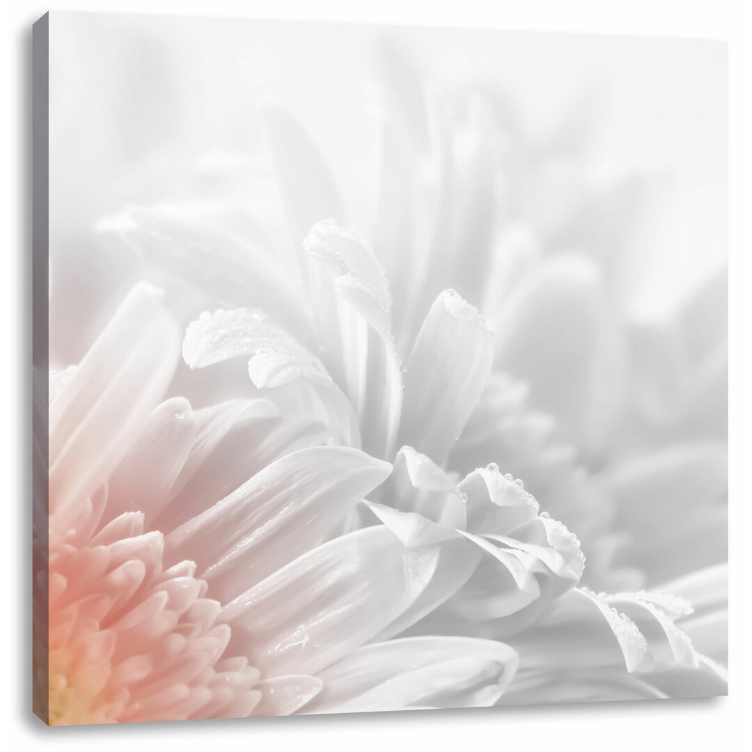 Leinwandbild Gerbera-Blume in Pastelltönen