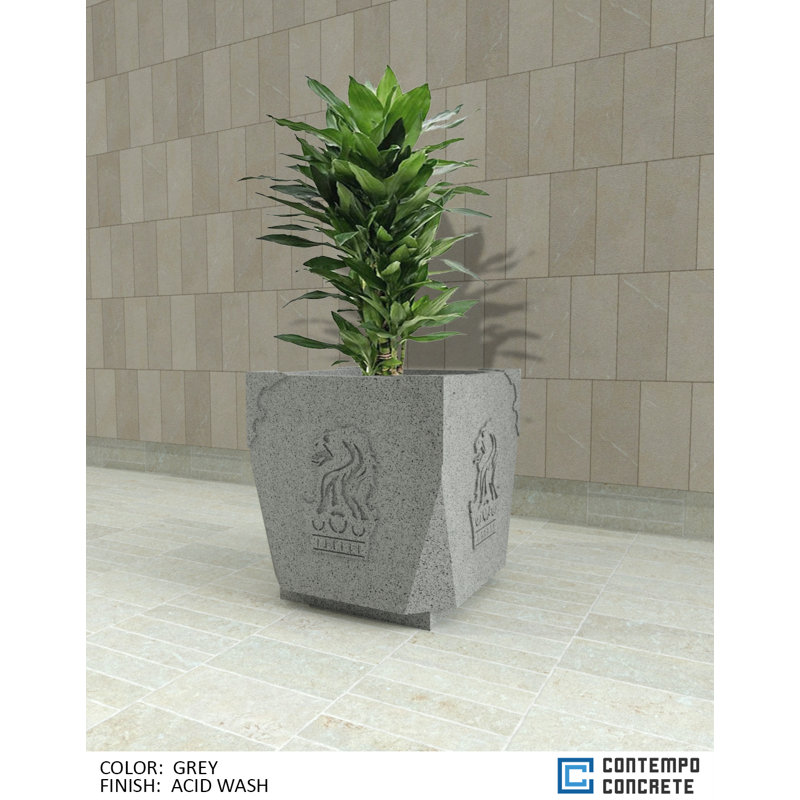  Jardinière royale, Gris délavé à la pierre