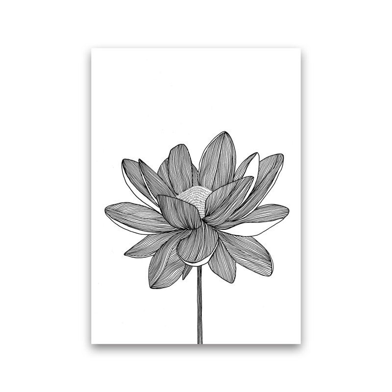Lotus by Carissa Tanton - Print, Unframed, 30cm H x 21cm W x 1cm D