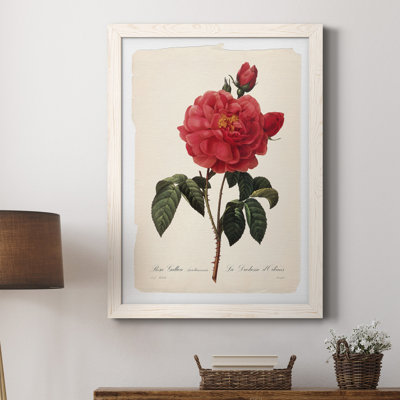 Red Botanical III - cadre photo, impression sur toile