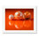 Marbles Print by Philippe Monthoux