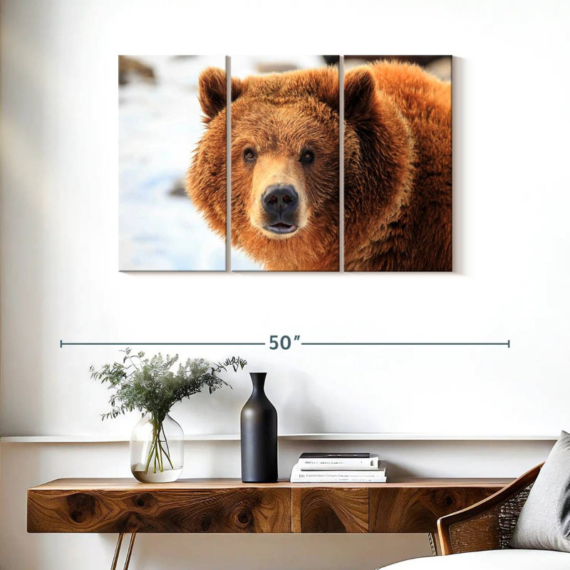 Regard d'ours grizzly, H 24 po x l 38 po