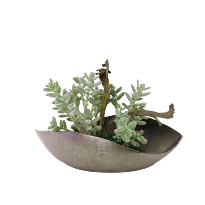 Succulents with Natraj in Cosmic Curve Bowl