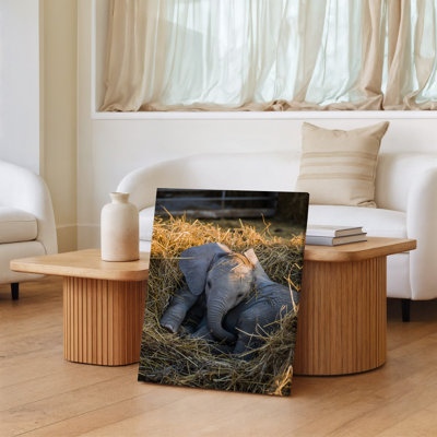 Canvas A Peaceful Scene Featuring A Young Elephant Calf Nestled Comfortably Wall Art In A Bed Of Golden Straw Its Small Body Partially Canvas Wall Art