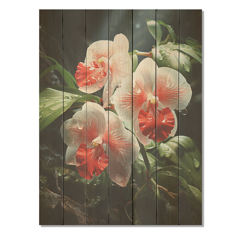 Corail tranquille et orchidées blanches - orchidées sur bois, H 32 po x l 24 po