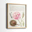 Hoefnagel Tropical Specples II - reproduction encadrée de qualité supérieure - prête à être accrochée - aucun clou requis - aucun clou requis-838539641-838539620