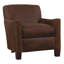 Santa Cruz Leather Chair