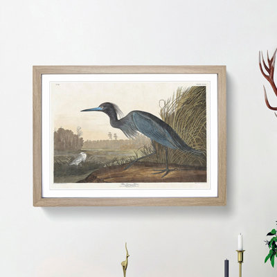 Blue Heron by John James Audubon - Picture Frame Art Print on MDF