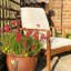 Daphne Wooden Garden Sofa Set - Natural