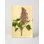 "Botanical Magazine Plate" 183 - Lilas commun (Syringa vulgaris) - Portrait, art mural sur toile
