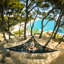Classic Hammock