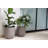 Pot Planter-1557584539
