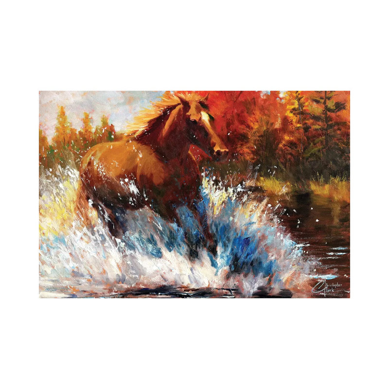 Freedom 1 Piece Wrapped Canvas Painting