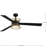 Bisbee 55'' Ceiling Fan with LED Lights-1479498100