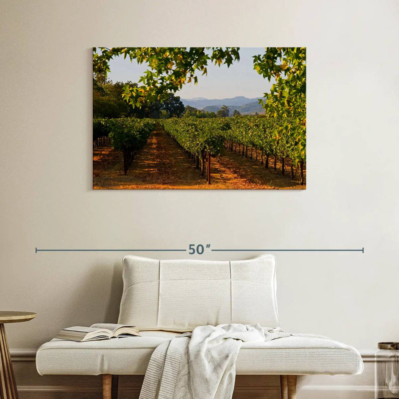 Alvord Napa Vineyard Sunset, H 26 po x l 39 po