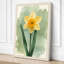 Golden Daffodil Botanical - Wrapped Canvas-474927217-474927223