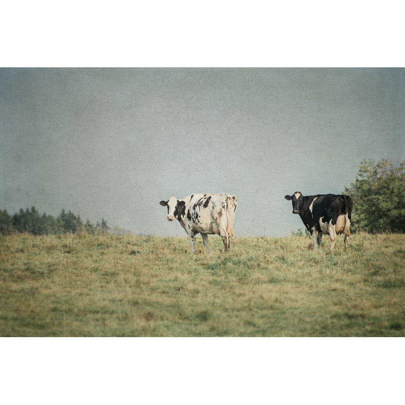Neutral Country III Crop by Elizabeth Urquhart - Photograph Print, Black Floater Framed, 20cm H x 30cm W