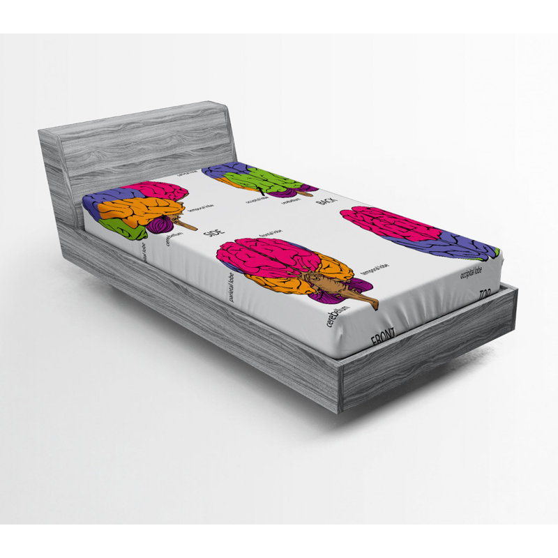Microfiber Fitted Sheet, Twin XL Fitted Sheet