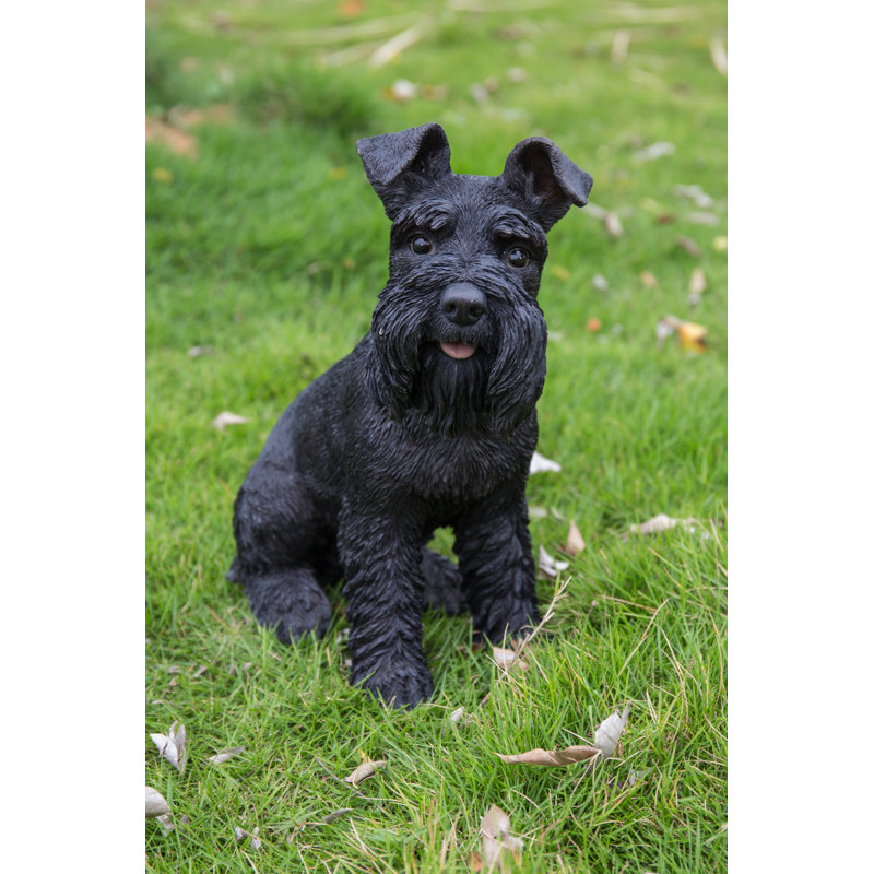 Statue Schnauzer, Noir