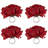 Jacque Napkin Ring-186455743
