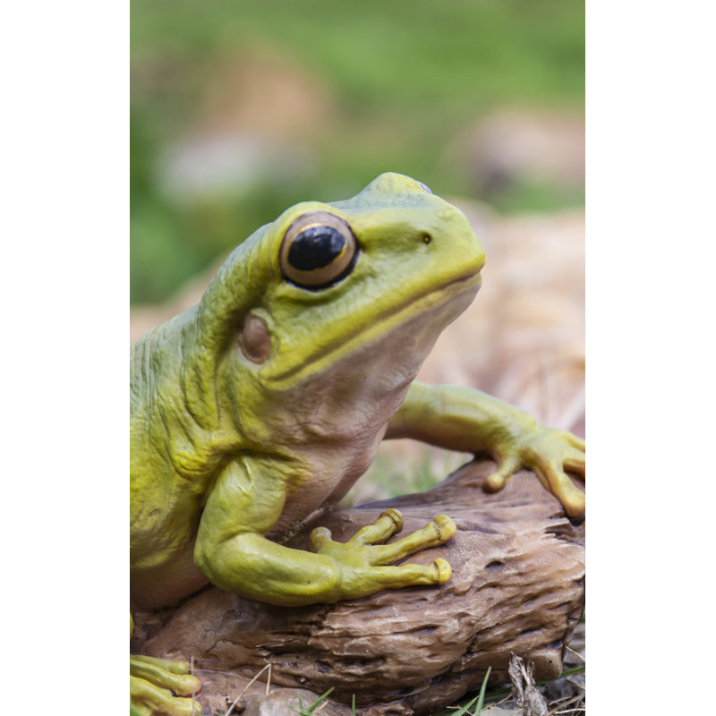 Green Polyresin Tree Frog Garden Statue