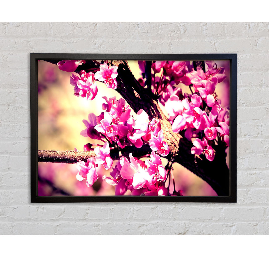 Pink Blossom - Einzelner Bilderrahmen Kunstdrucke auf Leinwand