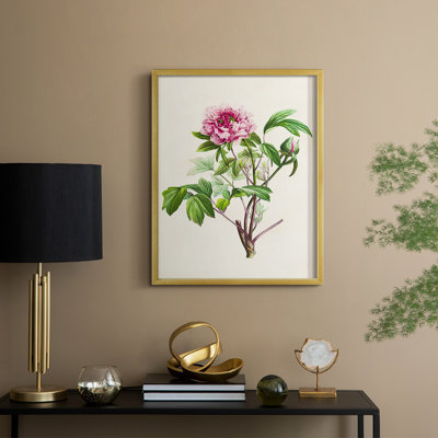 «Pretty Pink Botanicals», reproduction encadrée en bois massif