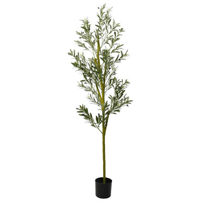 200cm Plant