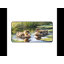 Polyester Desk Pad-2105502369