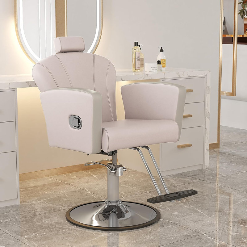 Salon Chair For Hair Stylist,Barber Chair For Home Barbershop With Professional Hydraulic Pump -White/Silver, White, Silver