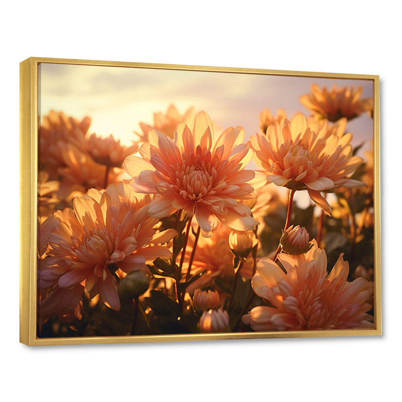 «Chrysanthemums Sunrise Field In Morning - Chrysanthemums», reproduction sur toile, Cadre flottant doré