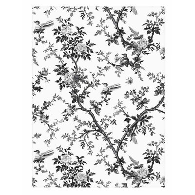 «Botanical Botanical Dreams Black & White II», reproduction d'art moderne sans cadre