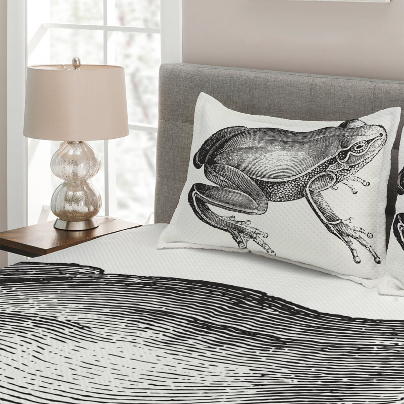 Coverlet