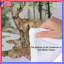 Édredon Deer In Forest Landscape-125325531