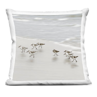Beach Birds Scurrying Decorative Printed Throw Pillow design by Natalie Carpentieri