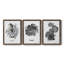 B&W d'intérieur plante I - ensemble de 3 peintures sur toile encadrées-2044643274-2044643285