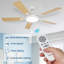 Ceiling Fan-128959689