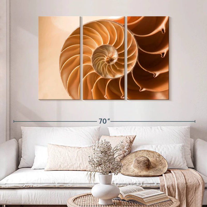 Aletra Nautilus Shell Inside, 32" H x 50" W