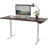 Skyscraper Electric Height Adjustable Standing Desk, Dual Motor and Digital Control with Memory, 72x30, White Top with Brushed Silver Frame-765077070-765077059