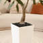 Olive artificielle Adcock résistante aux rayons UV avec grand pot de fleurs, olivier artificiel pour la décoration extérieure-1315299339-1310085053