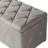 Maksimus Upholstered Rectangular Storage Ottoman with 2 Small Ottoman-872307918