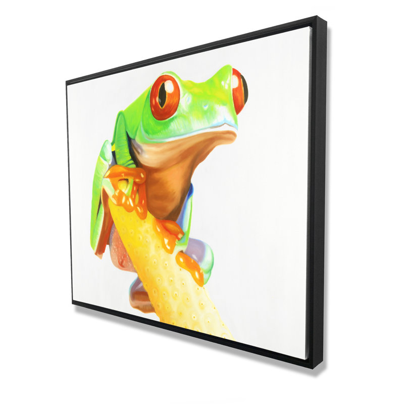 Curious Red Eyed Frog - Exotic Orange Framed Canvas Decor
