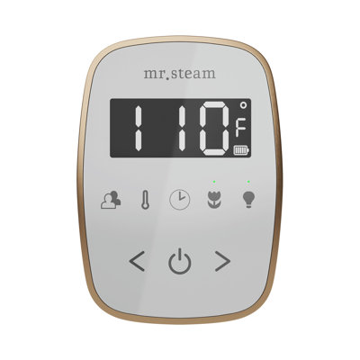 ButlerFlex Steam Shower Control Package with TempoFlex Control and Steamhead