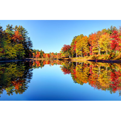 Autumn Foliage - Wrapped Canvas Print