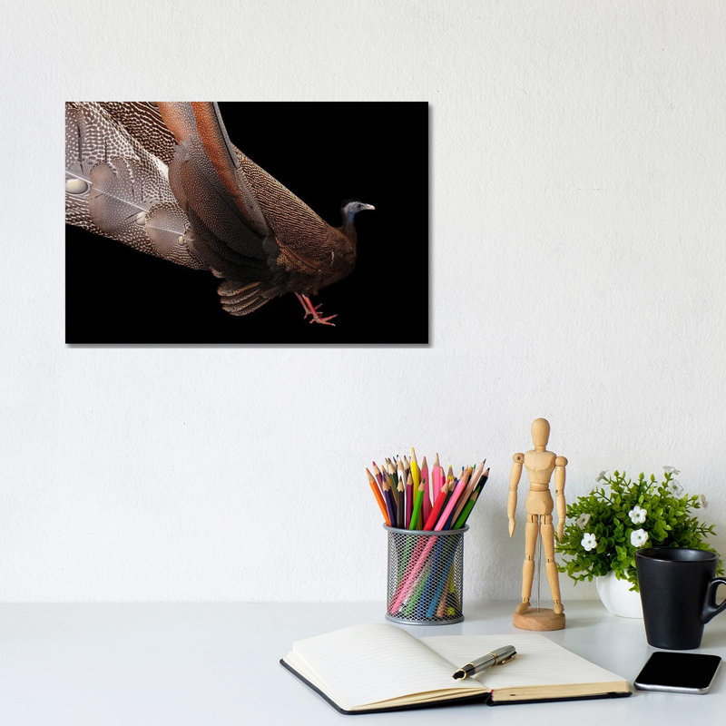 A Malayan Great Argus At The Houston Zoo by Joel Sartore - Gallery-Wrapped Canvas Giclée on Canvas, Canvas