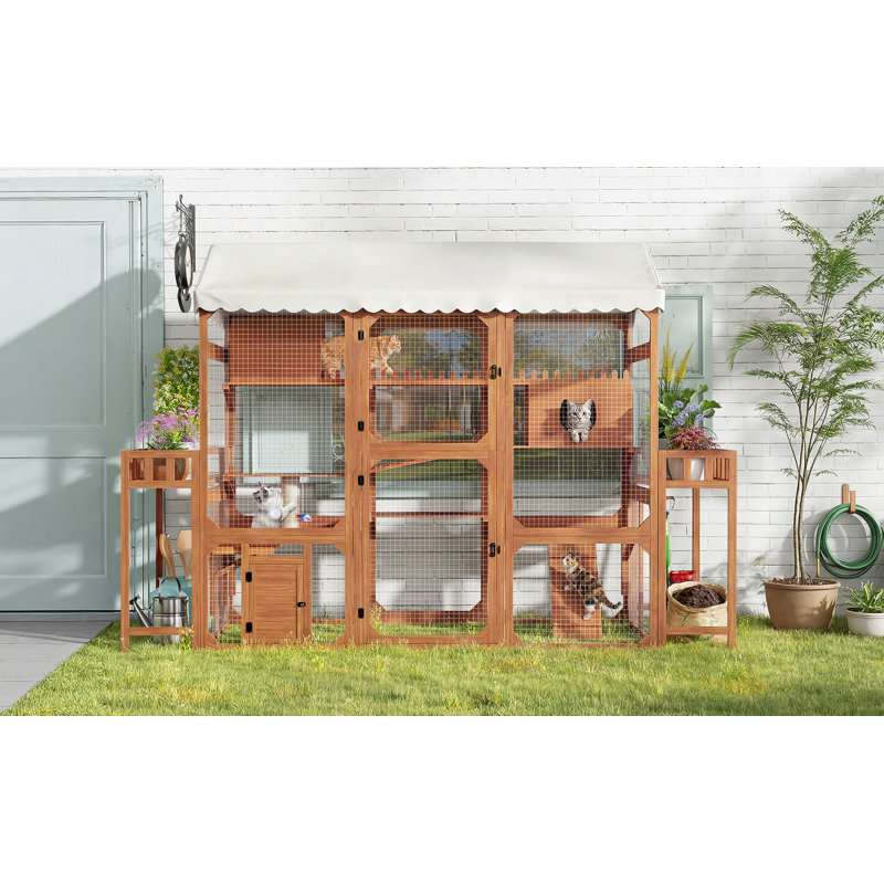 Enclos à chat spacieux en bois avec supports pour plantes et toit résistant aux intempéries