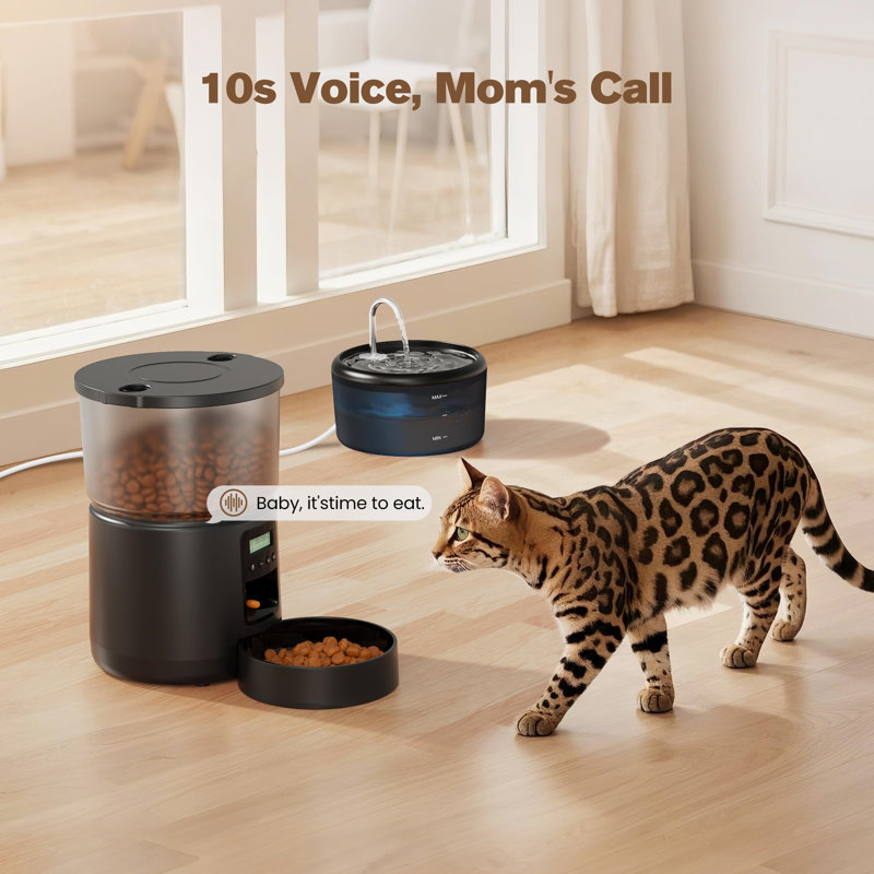 Automatic Feeder