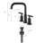 Widespread 2-handle Bathroom Faucet with Drain Assembly-73458822