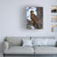 «Juvenile Bald Eagle» par David Drost, reproduction sur toile tendue-98232739